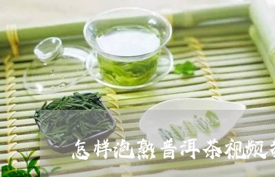 怎样泡熟普洱茶视频教学/2023081409594