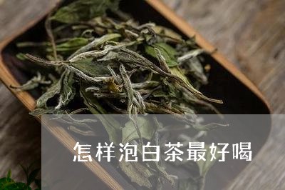 怎样泡白茶最好喝/2023061909694