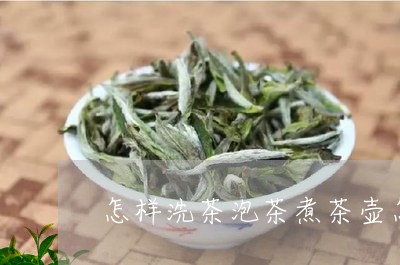 怎样洗茶泡茶煮茶壶怎么洗茶/2023052692037