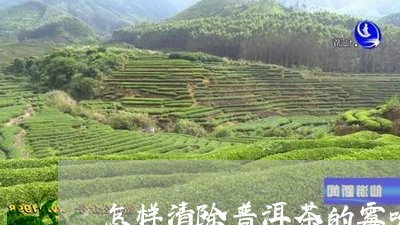 怎样清除普洱茶的霉味/2023100506271