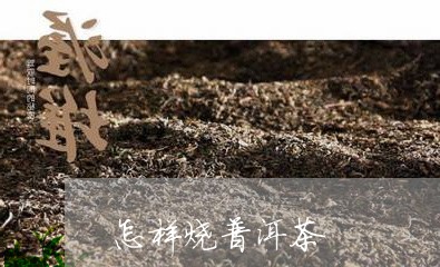 怎样烧普洱茶/2023042721013