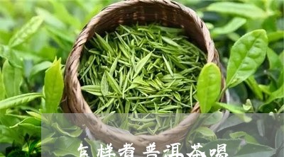 怎样煮普洱茶喝/2023102602816