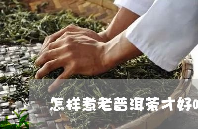 怎样煮老普洱茶才好喝视频/2023112683059