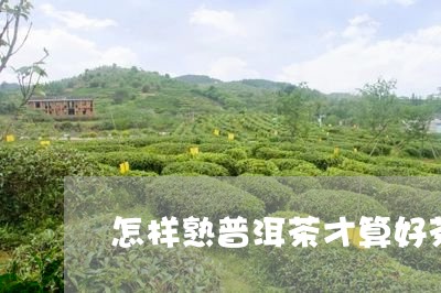 怎样熟普洱茶才算好茶/2023062316268