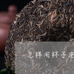 怎样用杯子泡熟普洱茶/2023061772794