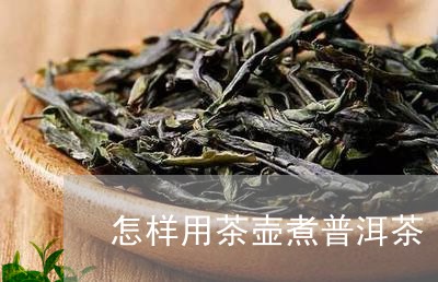 怎样用茶壶煮普洱茶/2023091584048