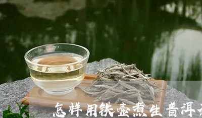 怎样用铁壶煮生普洱茶/2023093073705