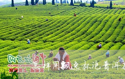 怎样用飘逸杯泡普洱茶/2023061949482