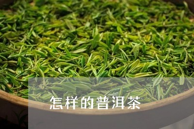 怎样的普洱茶/2023042632859