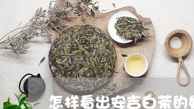 怎样看出安吉白茶的好坏/2023102535927