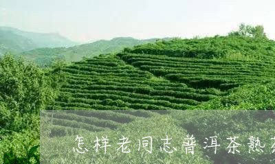 怎样老同志普洱茶熟茶/2023080300305