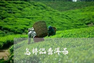 怎样记普洱茶/2023110626259