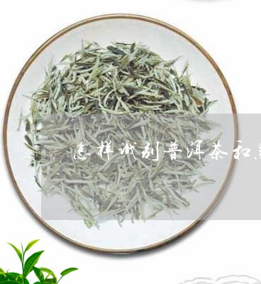 怎样识别普洱茶和黑茶/2023100746158