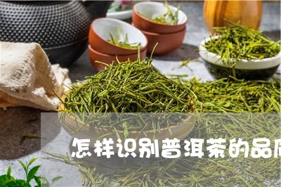 怎样识别普洱茶的品质好坏呢/2023052837169