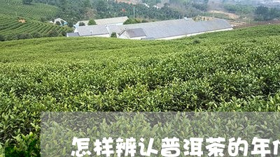 怎样辨认普洱茶的年份/2023100817481