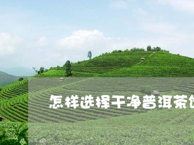 怎样选择干净普洱茶饼茶底/2023110630591