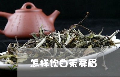 怎样饮白茶寿眉/2023112490702