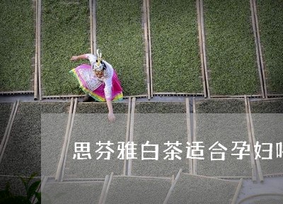 思芬雅白茶适合孕妇喝吗/2023102564937