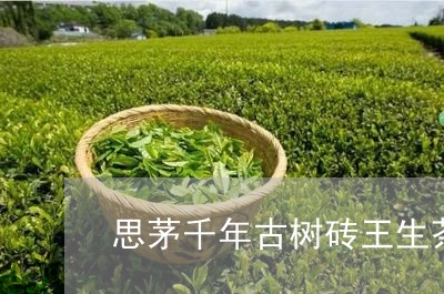 思茅千年古树砖王生茶/2023092152814