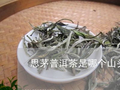 思茅普洱茶是哪个山头的/2023120743929