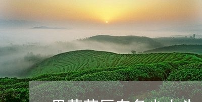 思茅茶区有多少山头/2023042294059