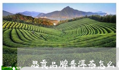 思贡品牌普洱茶怎么样/2023093040492