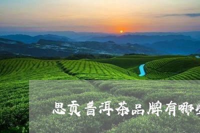 思贡普洱茶品牌有哪些/2023062311715