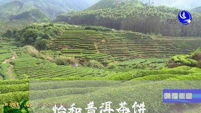 怡和普洱茶饼/2023042633495