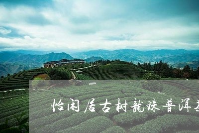 怡闲居古树龙珠普洱茶生茶63克/2023082836393