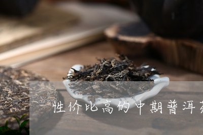 性价比高的中期普洱茶/2023080142504