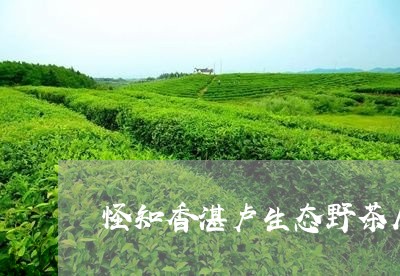 怪知香湛卢生态野茶属于什么茶/2023060191514