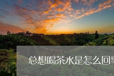 总想喝茶水是怎么回事/2023071554917