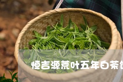 恒吉源荒叶五年白茶饼/2023093036581