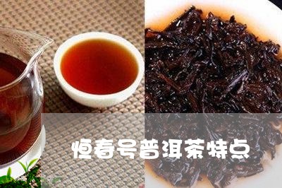 恒春号普洱茶特点/2023121627170