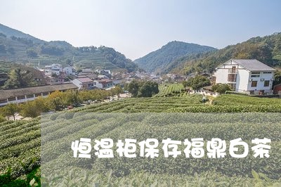 恒温柜保存福鼎白茶/2023120340592