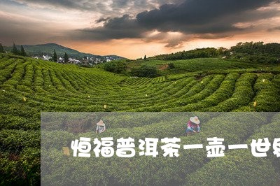 恒福普洱茶一壶一世界/2023061447038