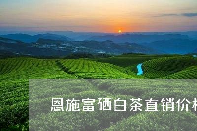 恩施富硒白茶直销价格表/2023102530504