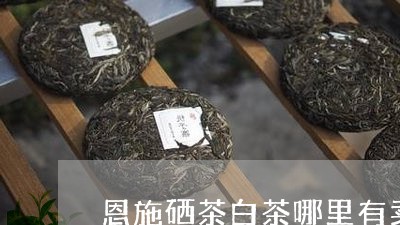 恩施硒茶白茶哪里有卖/2023093077250