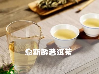 息斯敏普洱茶/2023042966620