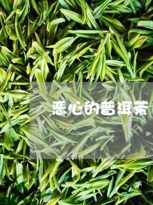 恶心的普洱茶/2023042946977