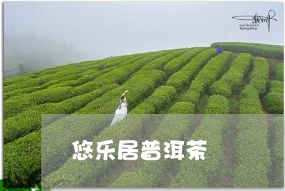 悠乐居普洱茶/2023042590547