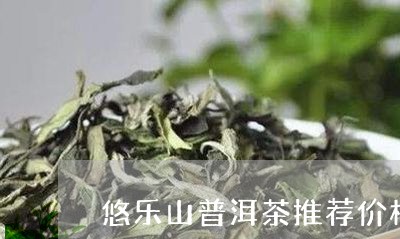 悠乐山普洱茶推荐价格是多少/2023082806236