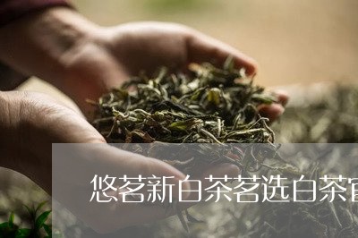 悠茗新白茶茗选白茶官网/2023102562825