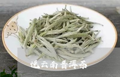 悦云南普洱茶/2023042697633