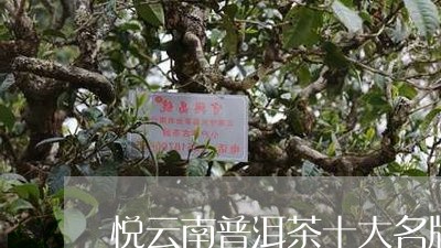 悦云南普洱茶十大名牌/2023061517384