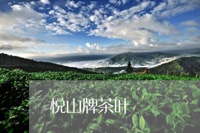 悦山牌茶叶/2023041768794