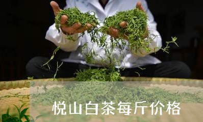 悦山白茶每斤价格/2023062079370