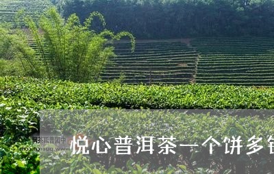 悦心普洱茶一个饼多钱/2023092579515