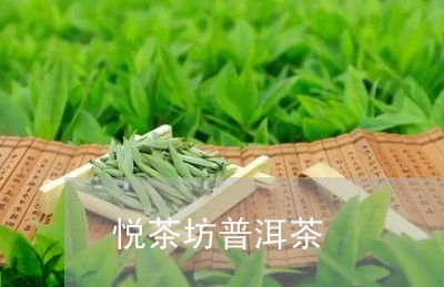 悦茶坊普洱茶/2023042962185