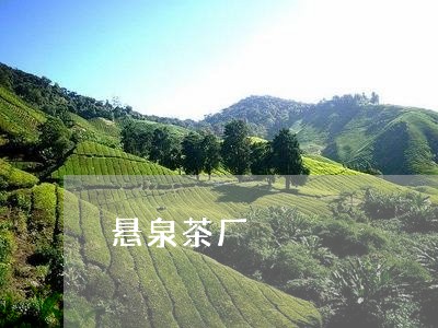 悬泉茶厂/2023090150603